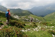 70 Sentiero tra rododendri irsuti